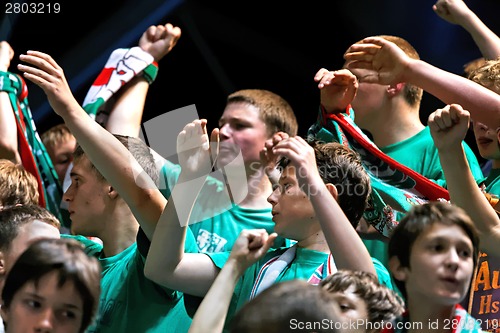 Image of ecstatic sport fans cheering