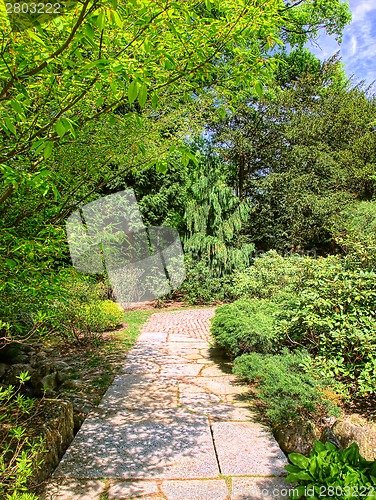 Image of Park in spring time