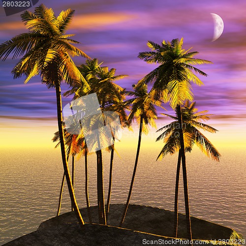 Image of Tropical paradise