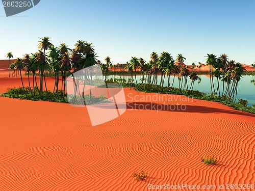 Image of African oasis
