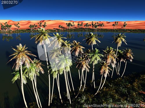 Image of African oasis