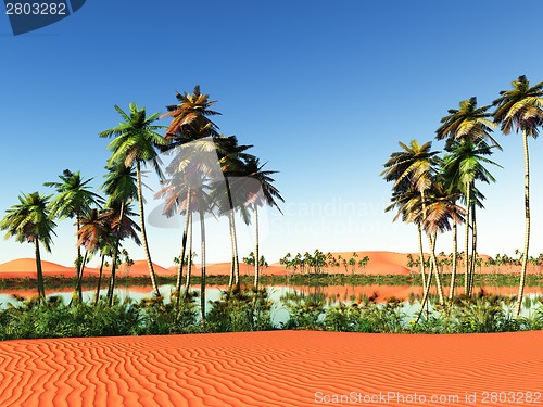Image of African oasis