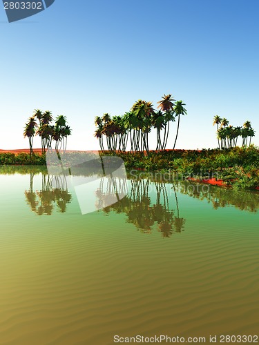 Image of oasis