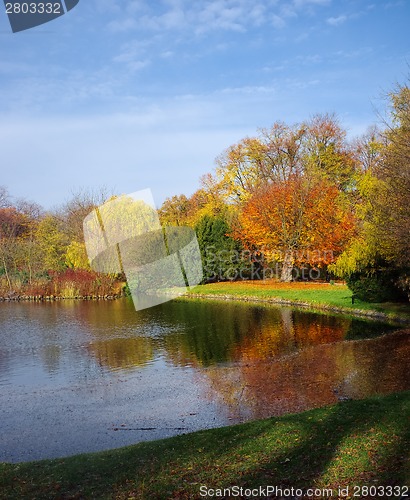 Image of Pond in the park