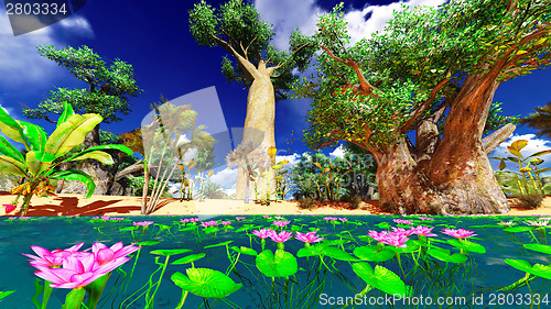 Image of African baobabs