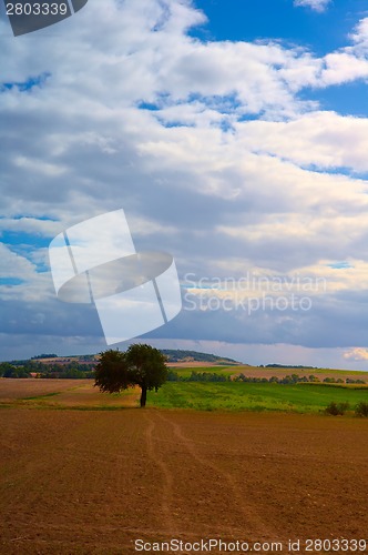 Image of Typical Polish landscape