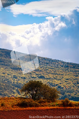 Image of Typical Polish landscape