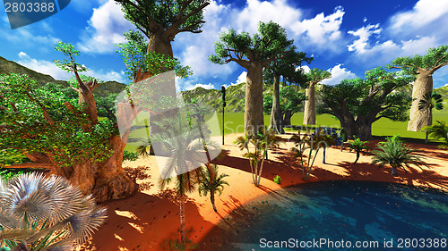 Image of African baobabs