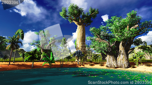 Image of African baobabs
