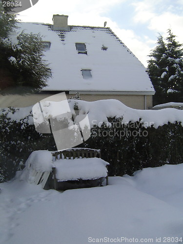 Image of Snowy Garden