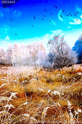 Image of Wintery landscape