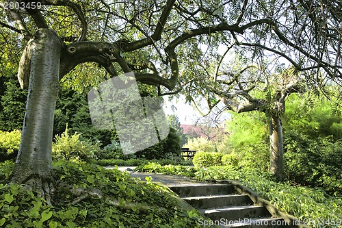 Image of Japanese garden