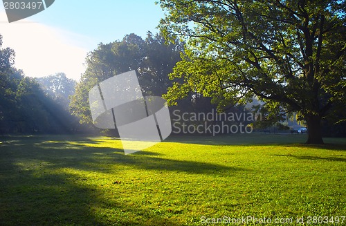 Image of Park in spring time