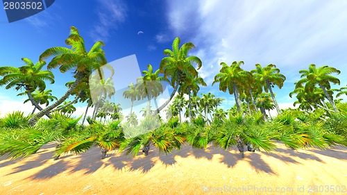 Image of Hawaiian paradise