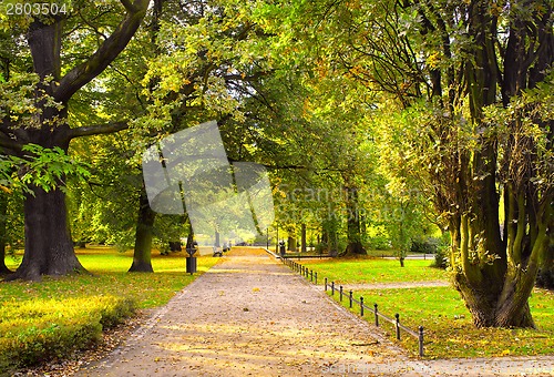 Image of Park in spring time
