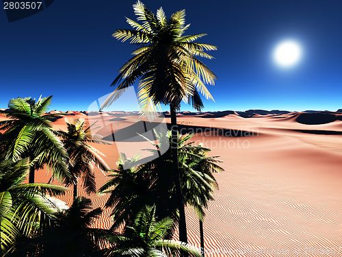 Image of African oasis