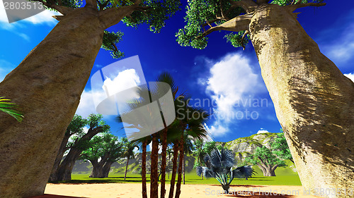 Image of African baobabs
