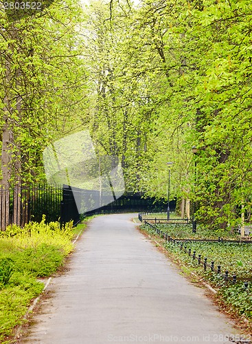 Image of Park in spring time