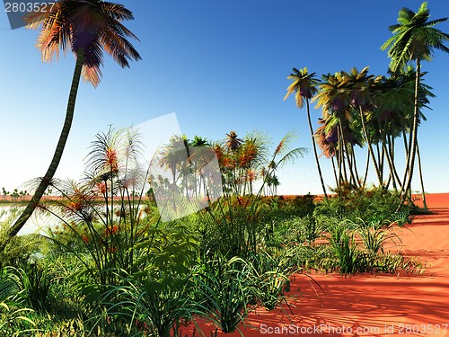 Image of African oasis