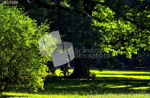 Image of Park in spring time