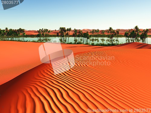Image of African oasis