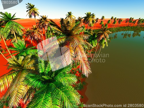 Image of African oasis