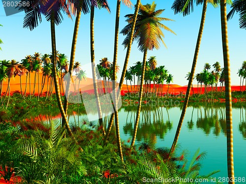 Image of African oasis