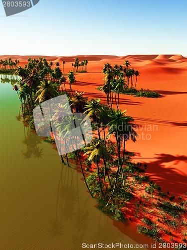 Image of oasis
