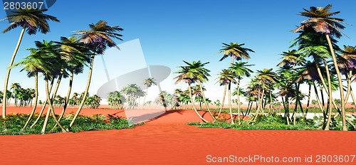 Image of African oasis