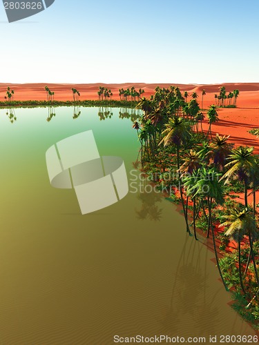 Image of oasis