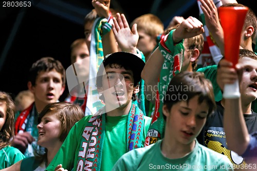 Image of ecstatic sport fans cheering