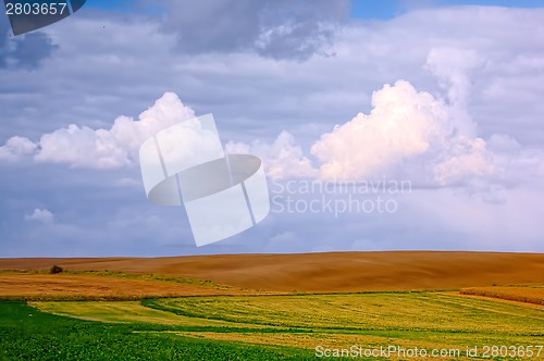 Image of Typical Polish landscape