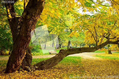 Image of Park in autumn time