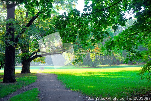 Image of Park in spring time