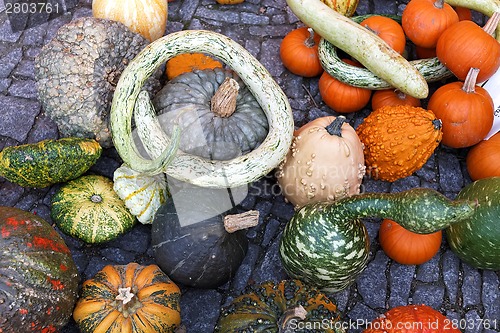 Image of Pumpkins