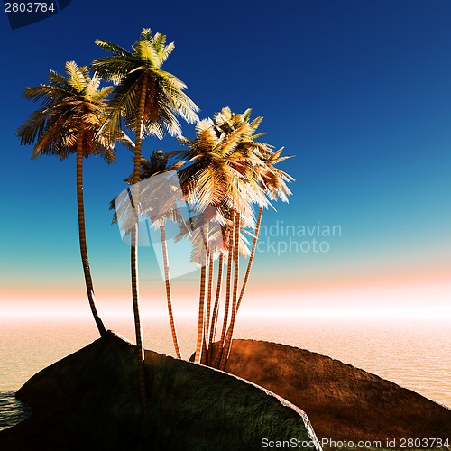 Image of Tropical paradise