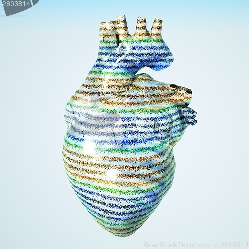 Image of Model of human heart