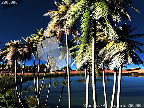 Image of African oasis