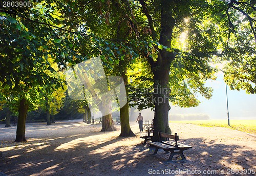 Image of Park in spring time
