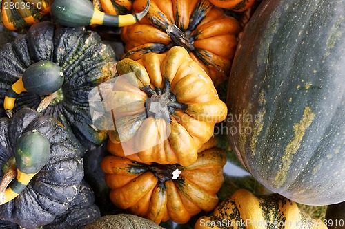 Image of Pumpkins