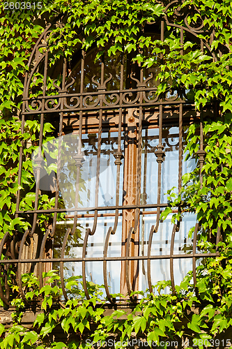 Image of Barred window