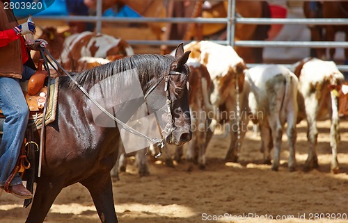 Image of rodeo competition is about to begin