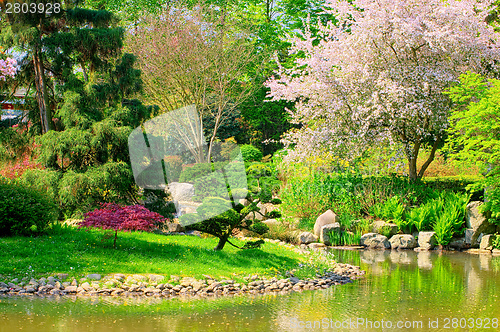 Image of Japanese garden