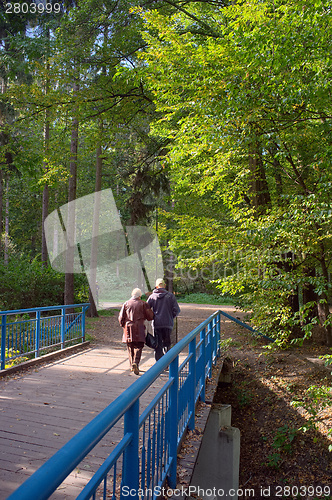 Image of Senior couple in  park