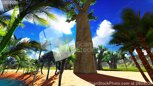 Image of African baobabs
