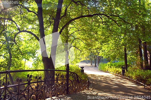 Image of Park in spring time