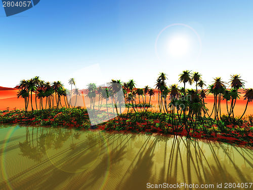 Image of African oasis