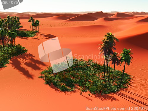 Image of African oasis