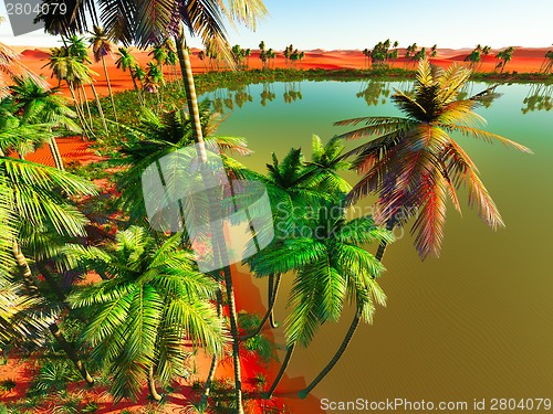 Image of African oasis