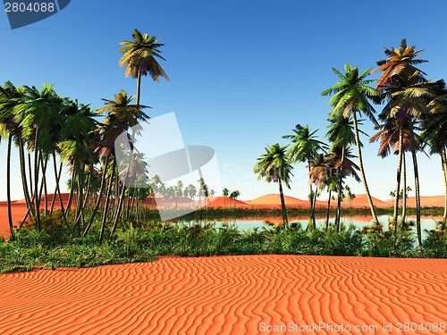 Image of African oasis